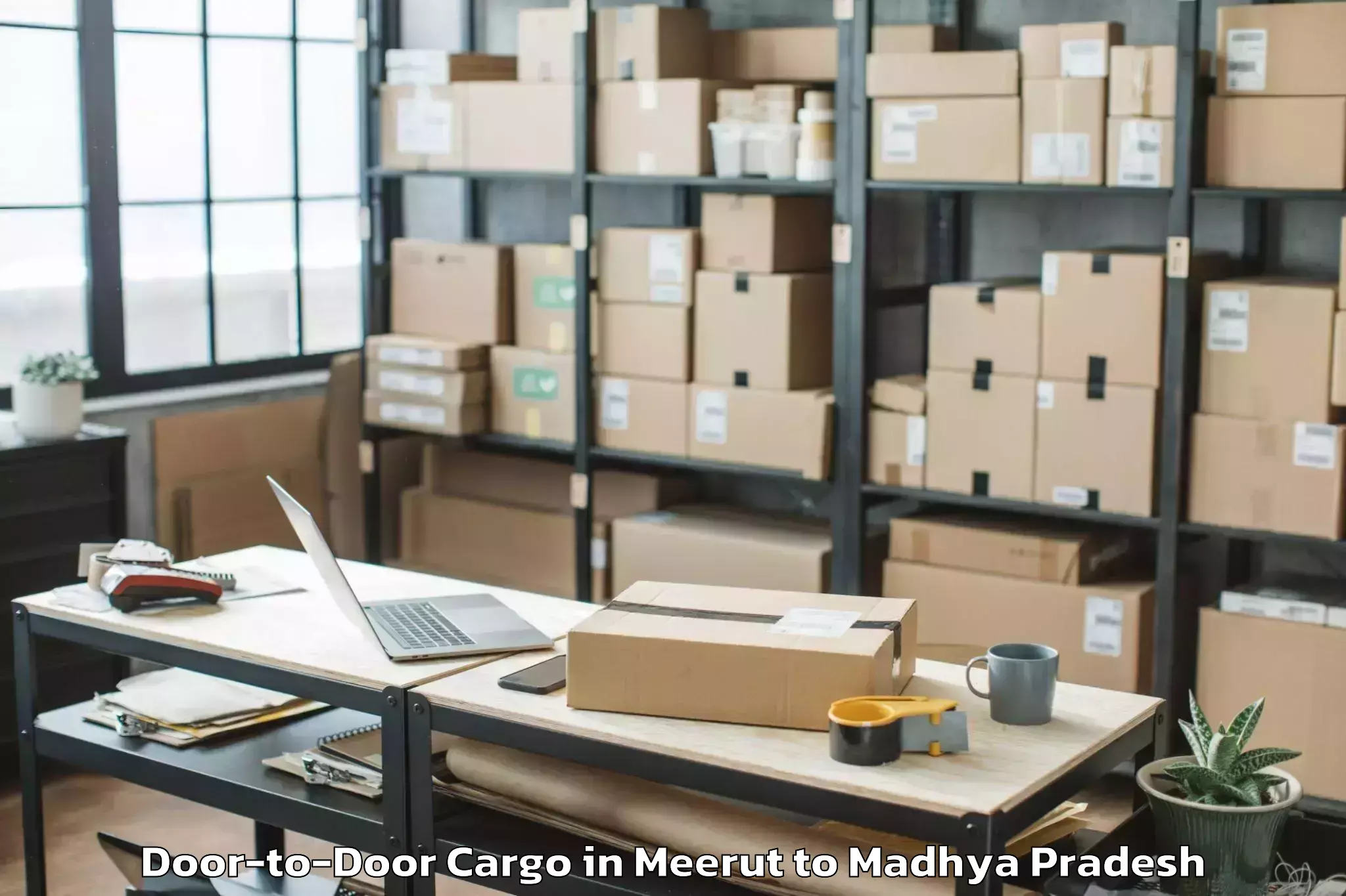 Easy Meerut to Karera Door To Door Cargo Booking